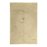 Rectangle Rectangle 5'1'' X 7'9'' Area Rug