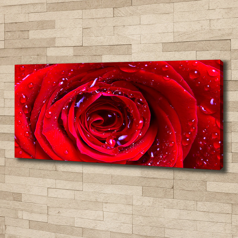 Rose Flower Wrapped Canvas - Art Prints, Canvas, 50cm H x 125cm W