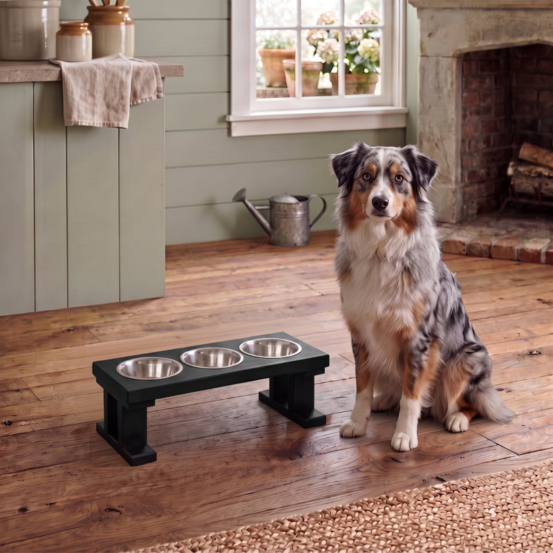 Elevated Feeder, Black/Ebony, Large (16")