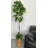 64'' Faux Fiddle Leaf Fig Tree