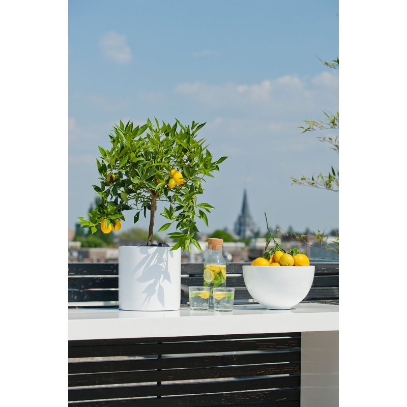 Outdoor White Fiberstone Pot