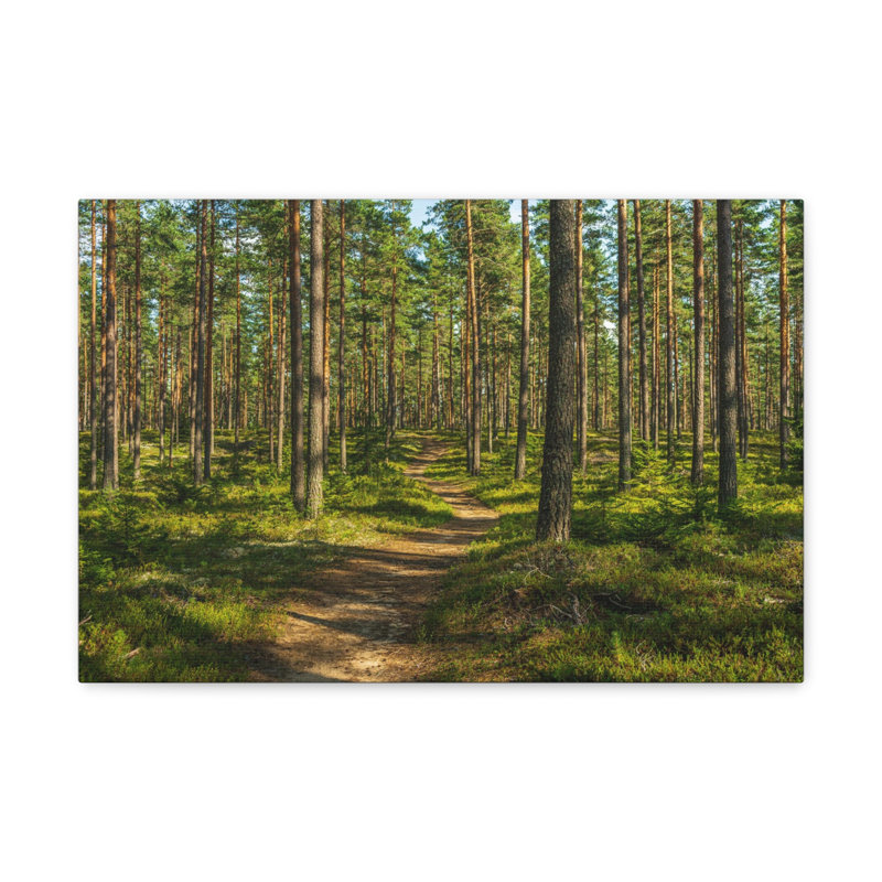 «Green Forest Tree Path Nature Wilderness», photographie sur toile