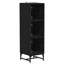 Accent Cabinet