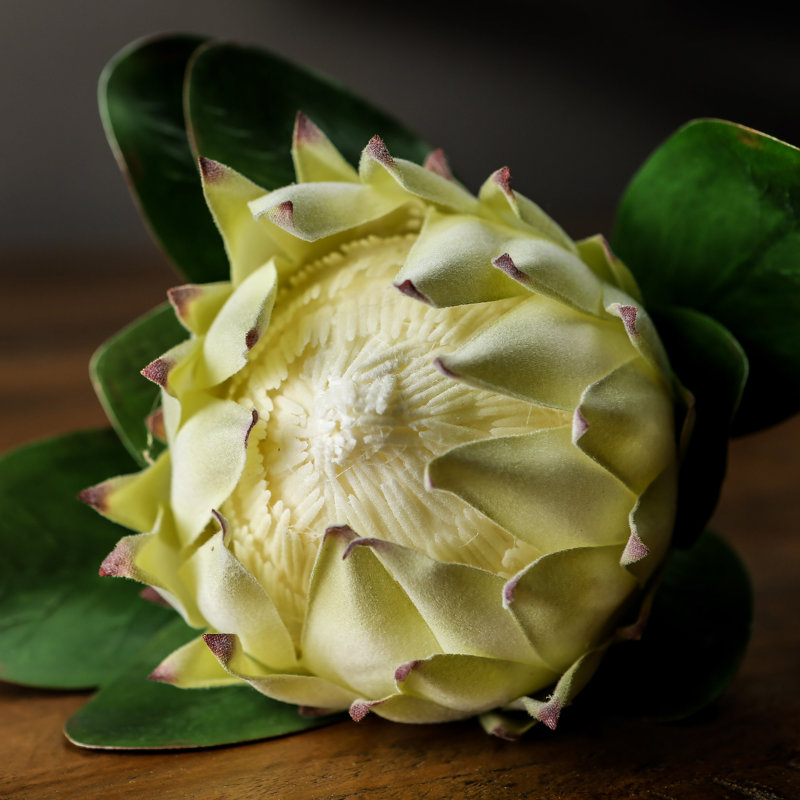 Arrangement, White, Brown