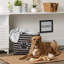 Cube en tissu pour animaux de compagnie-2114228855-2114228810