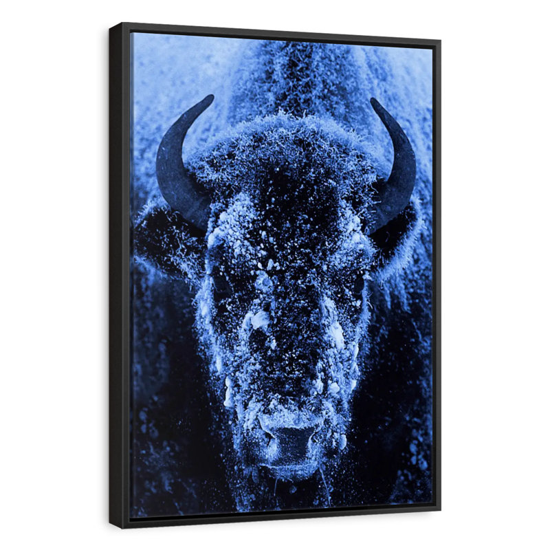 Frosty Safari Vandergriff, Floating Frame Black, 17" x 25"