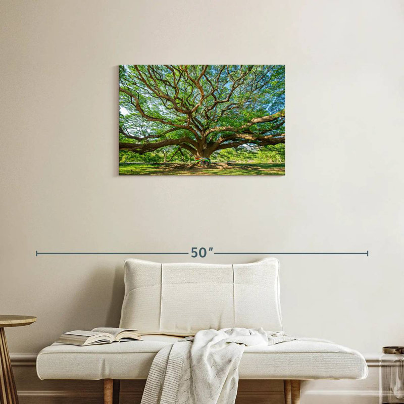 Harnek Old Tree, 20" H x 30" W
