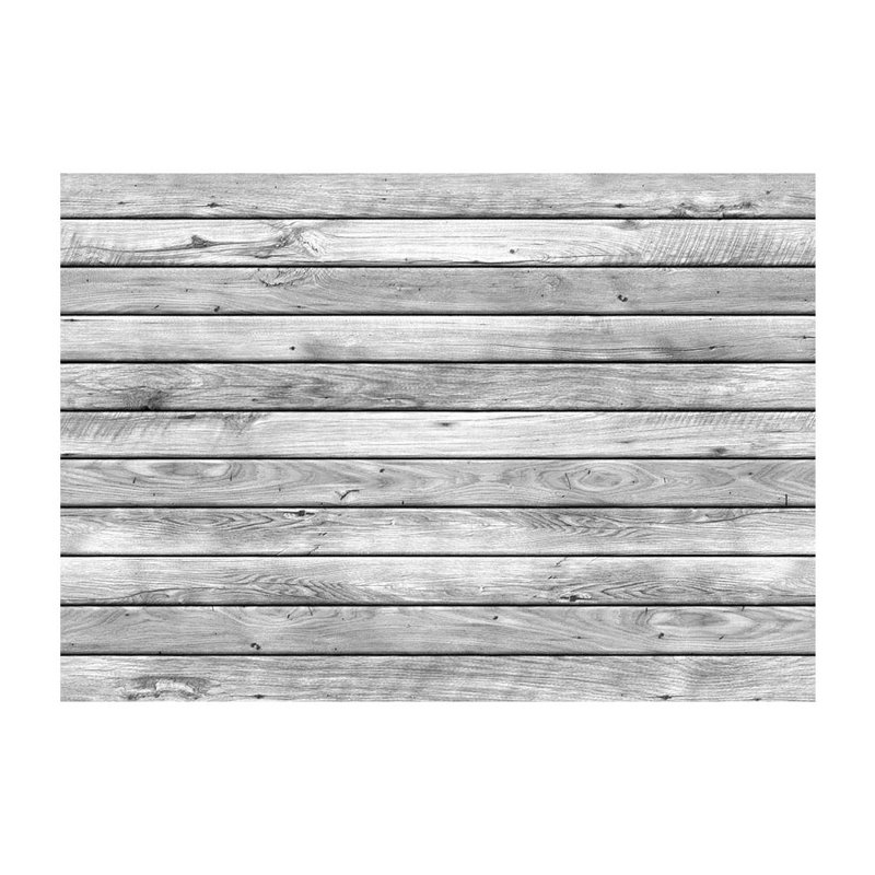 Leaden Dawn Semi-Gloss Paste the Wall Mural, 300 cm x 210 cm