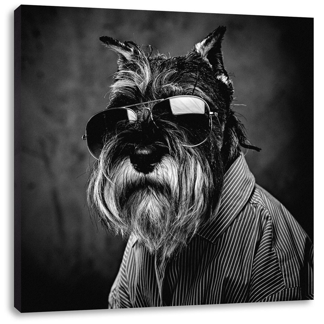 Lustiger Hund mit Hemd und Sonnenbrille, monochromer Leinwanddruck quadratisch