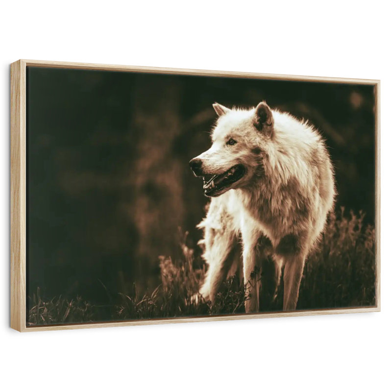 Loup Alpha qui grogne, Cadre flottant en bois naturel, 37 po x 25 po