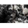 Tapis noir / blanc Novalty Loewen