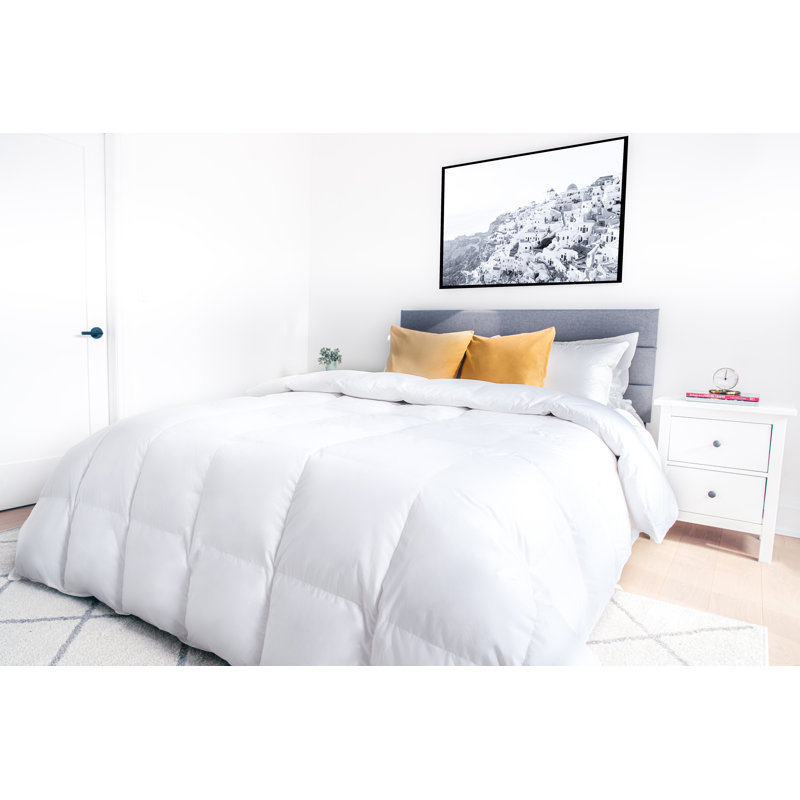 Limoges Duck All Season Down Comforter, Twin