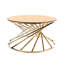 Annastasia Frame Coffee Table