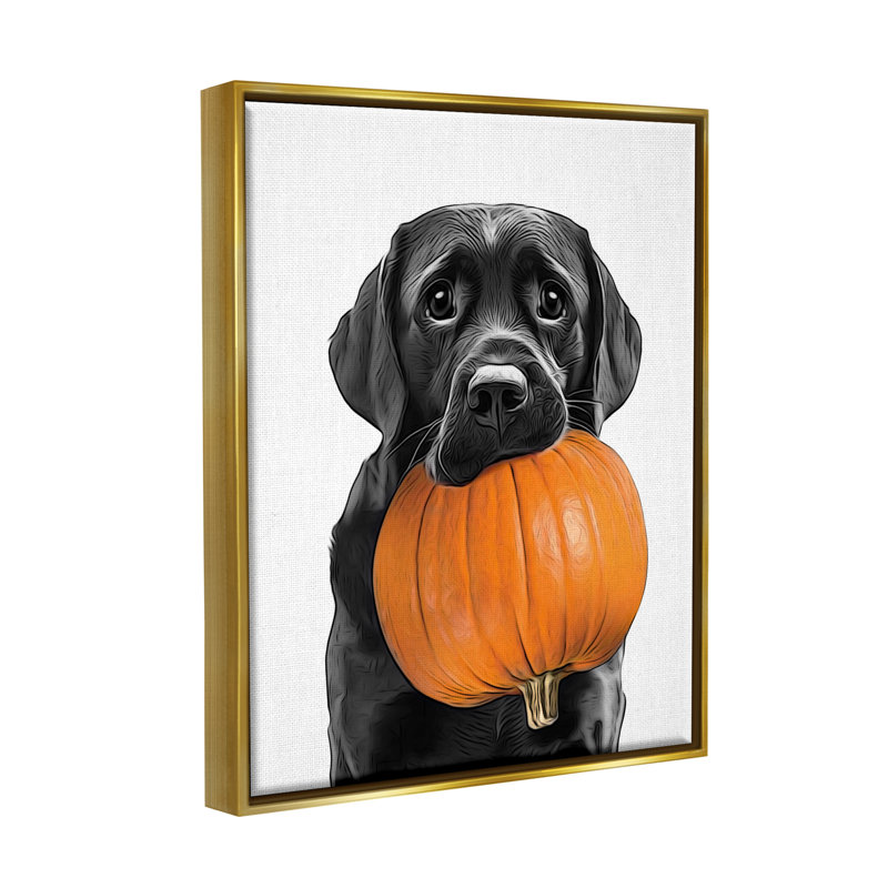 Lab Lab avec citrouille sur toile, Cadre flottant métallique doré, H 31 po x l 25 po x P 1,7 po