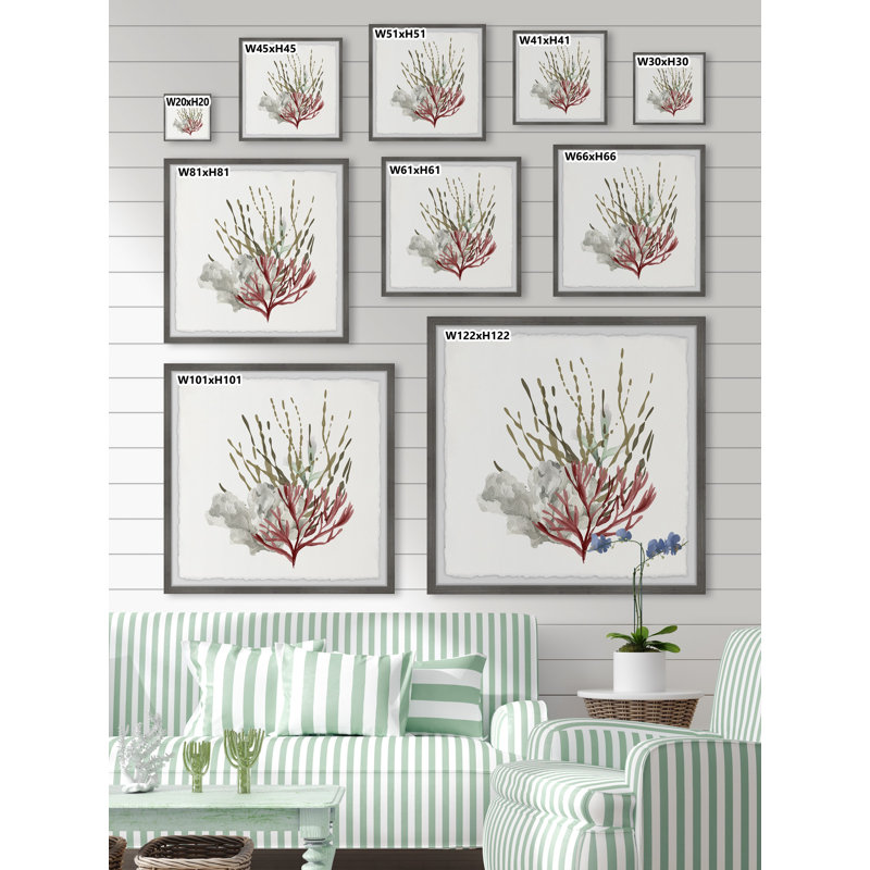 Sea Vegetables - Single Picture Frame Print, 81cm H x 81cm W x 3.81cm D