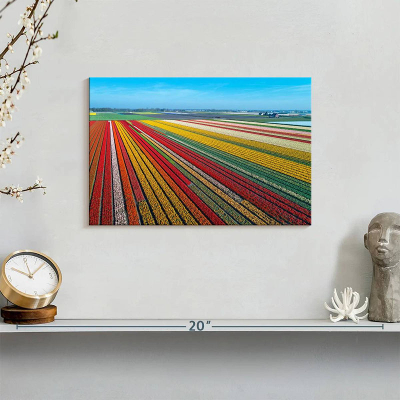 Ferme de tulipes sans fin Alvord, H 8 po x l 12 po