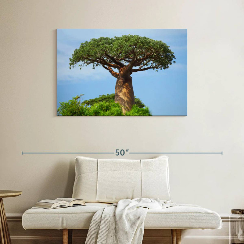 Baobab africain