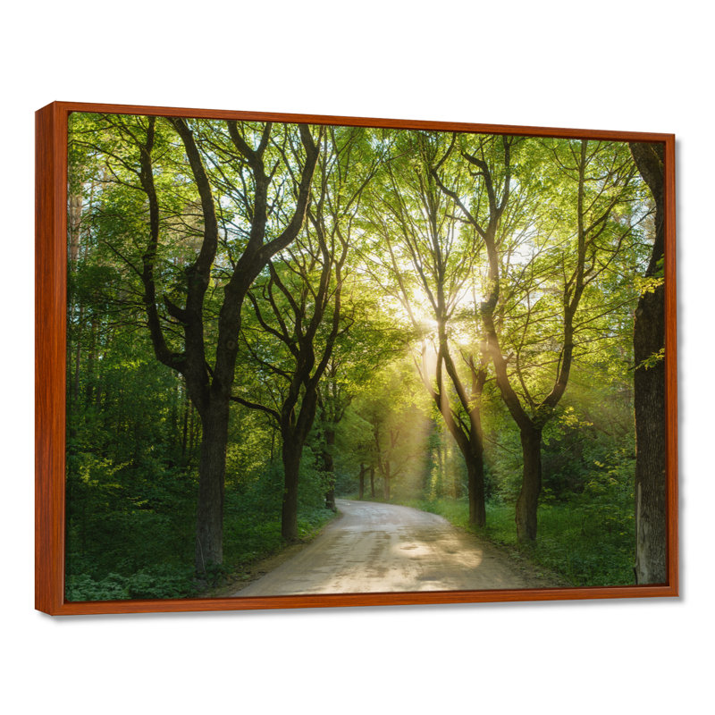 Soirée dans la forêt verte - photographie, H 16 po x l 32 po, Cadre flottant brun