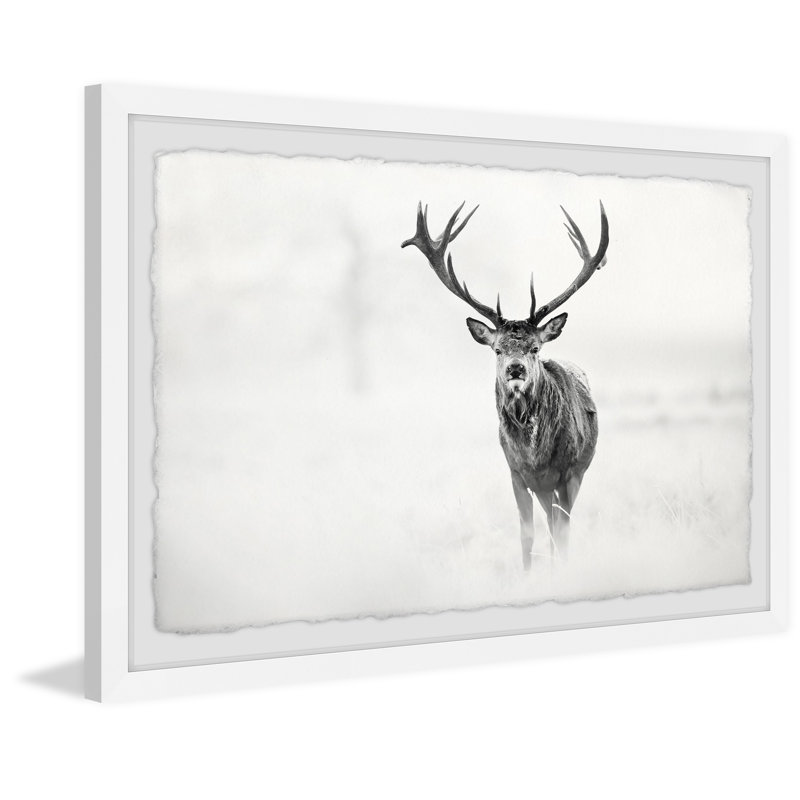 Elk Stare - Single Picture Frame Print, 20cm H x 30cm W x 3.81cm D