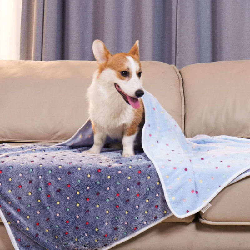Couverture pour animaux, Bleu, 41 po x 31 po