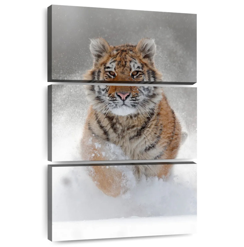Brampt Amur Tiger, 74" H x 48" W