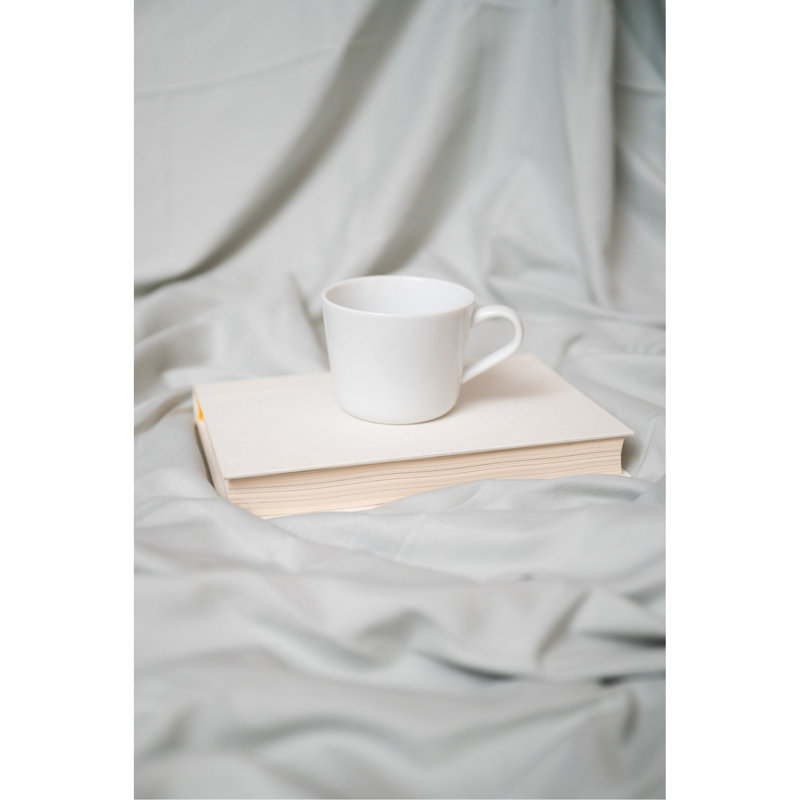 Ensemble de draps 4 pièces en microfibre étain hypoallergénique 4 pièces, Étain, L 80 po x l 60 po