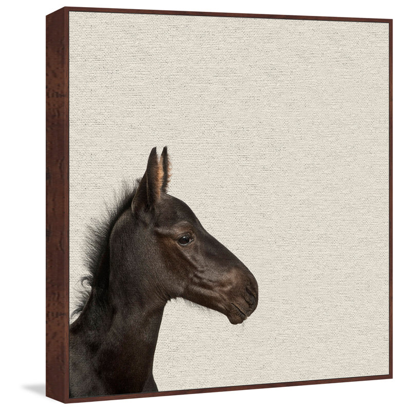 Black Horse III - Drawing on Canvas, 51cm H x 51cm W x 4cm D