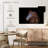 Dark Brown Horse-108842598