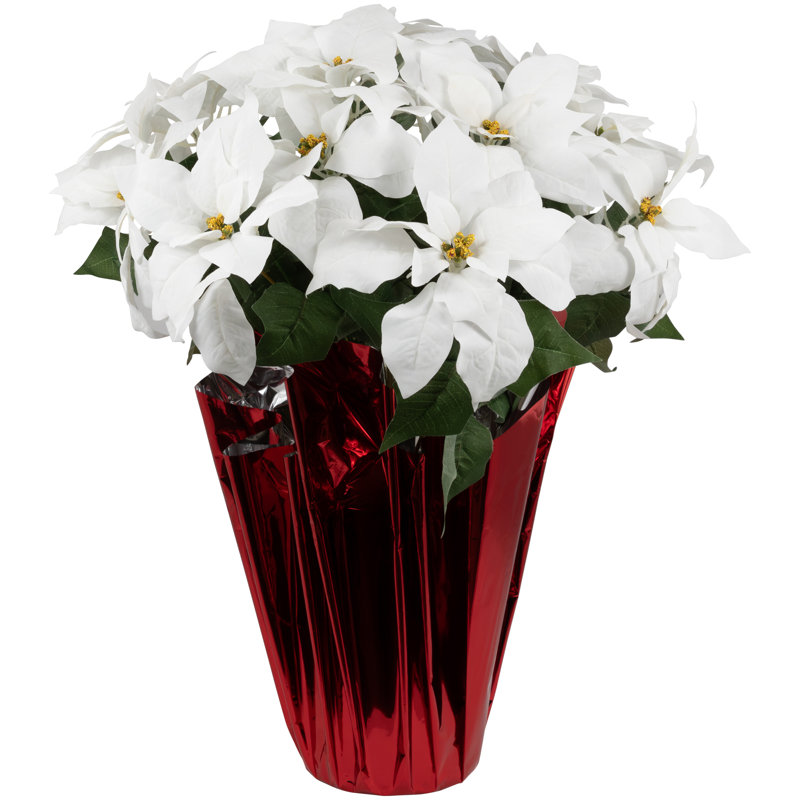 Arrangement de poinsettias, Blanc, Rouge, H 26 po x l 17 po x P 17 po