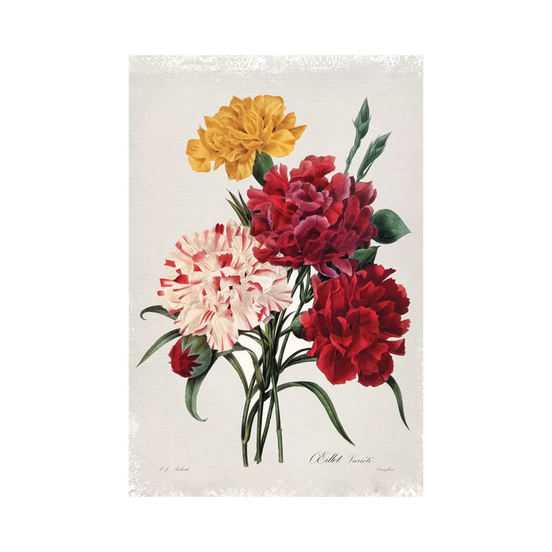 Botanical Bouquet Carnations by Carol Robinson - Print on Canvas, Wrapped Canvas, 66.04 cm H x 45.72 cm W x 1.91 cm D