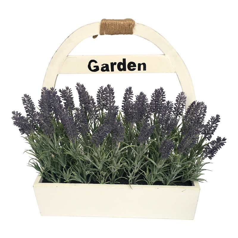 Lavender Arrangement in Pot