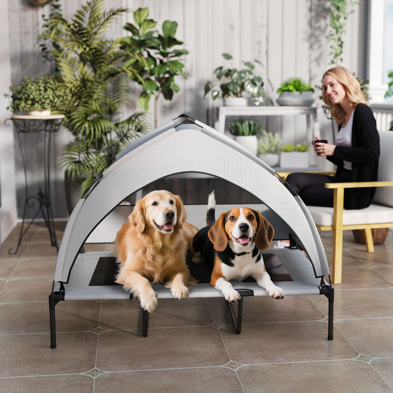 Lit surélevé pour chien, lit surélevé portatif pour animal de compagnie avec auvent, sac