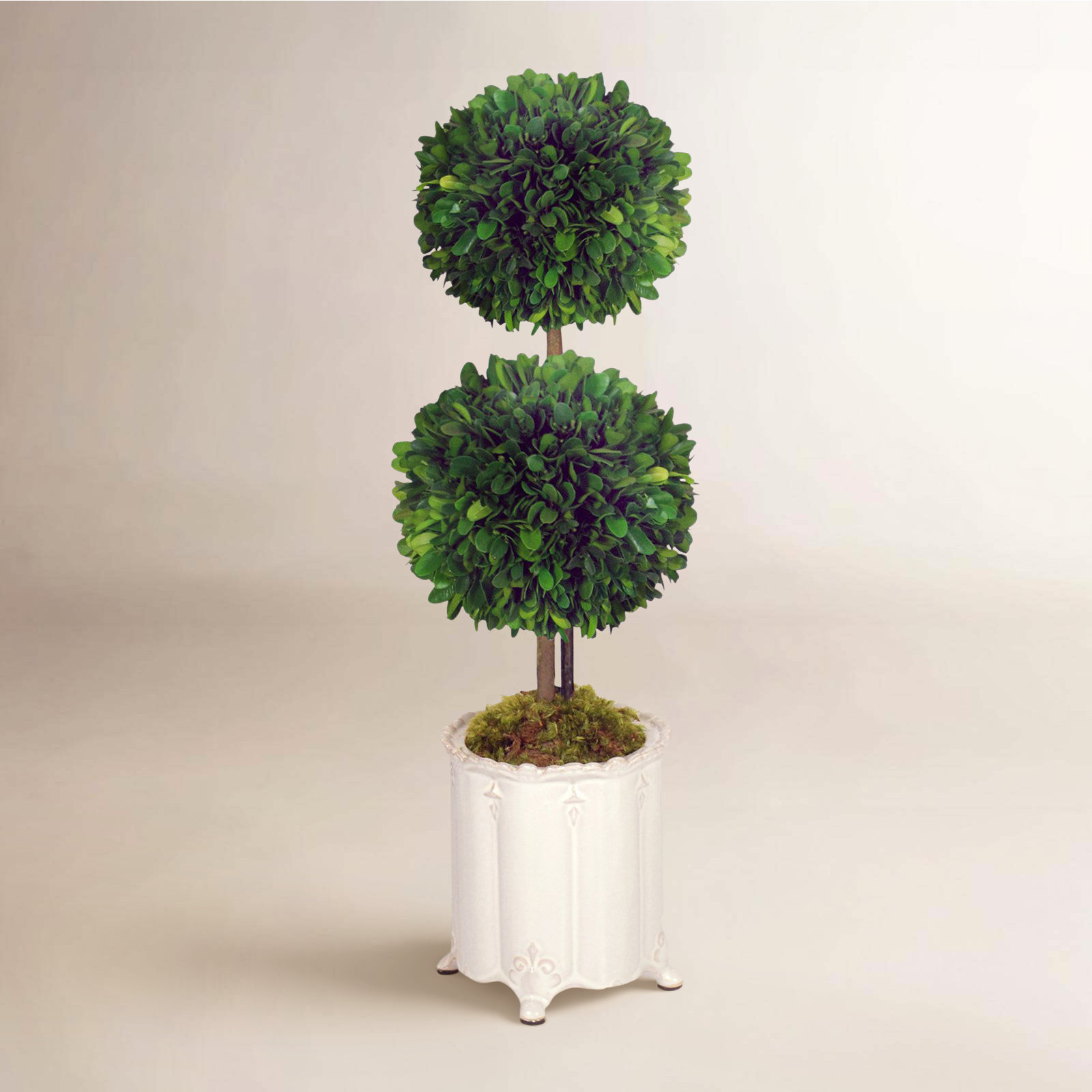Topiary Floral Arrangement