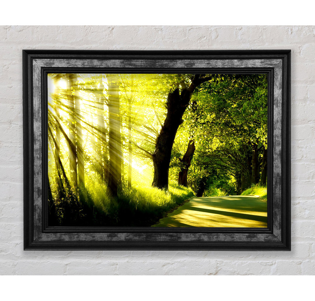 Gerahmter Kunstdruck Green Nature Dual Monitor-Other