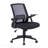Black Mesh Ergonomic Office Chair