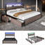Cicley Storage Bed-251223313