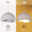 Unusual Pendant Light 1-Light Colbee