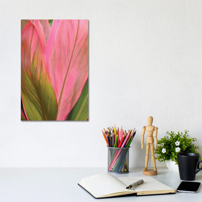 Ti Plant by Brian Wolf - Wrapped Canvas Print