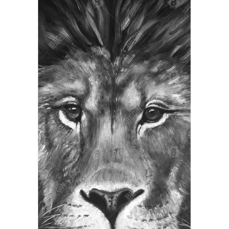 «Portrait de lion»