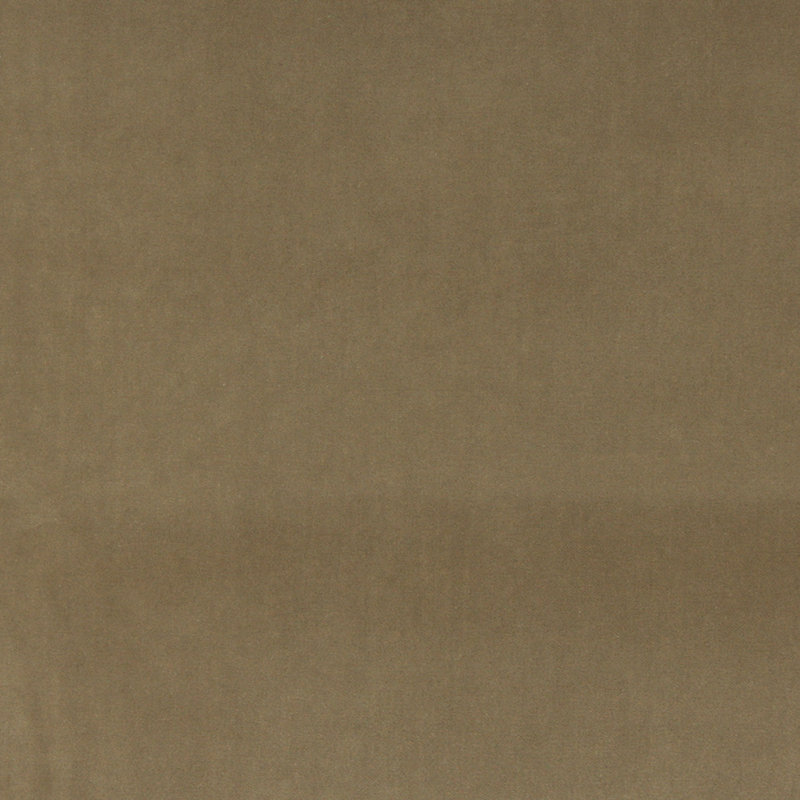 Tissu velours en coton, Taupe
