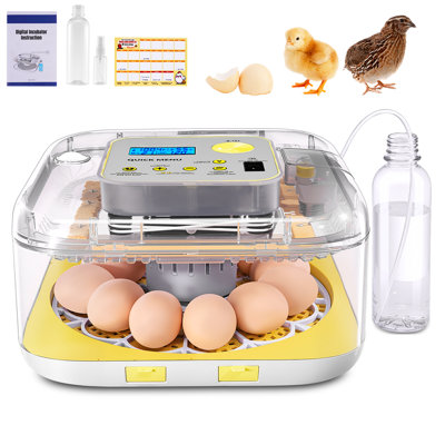 Incubateur à 12 œufs avec retournement automatique des œufs, couveuses pour œufs à couver, contrôle de la température et de l'humidité, couveuse à œufs, couveuse à œufs pour couver les poulets, oiseaux, œufs de caille, canards, oies, pigeons