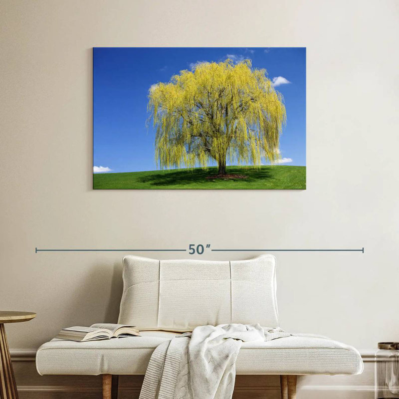 Harnek Spring Weeping Willow, 26" H x 39" W
