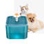 Cerny 2000ml Pet Fountain-585523823