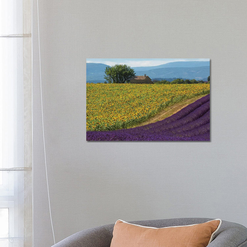 France, Provence. Lavender Field In The Valensole Plateau. by Jaynes Gallery - Wrapped Canvas Gallery-Wrapped Canvas Giclée