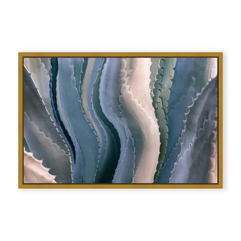 Nature Inspired Sonoma Summertime Roadside Abstract by  - Picture Frame Photograph on Paper, 24" H x 36" W x 1.125" D, Beige