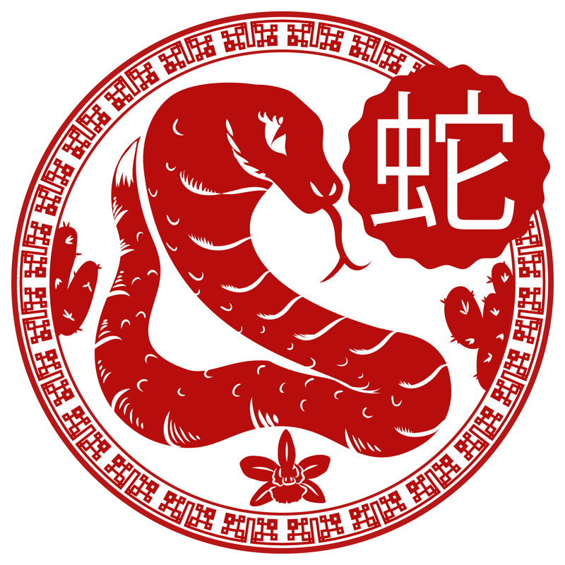 Chinese Zodiac Animal: Snake by PenWin - Wrapped Canvas Print, 30cm H x 30cm W