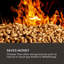 Stainless Steel Natural Gas Standing Patio Heater-62757930