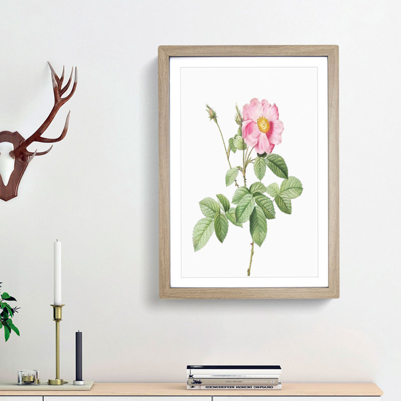 Pink Cabbage Roses by Pierre-Joseph Redoute - Picture Frame Painting Print, 36cm H x 27cm W x 2cm D, Oak Framed