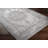 Aoi Chenille Oriental Indoor Rug-767377297