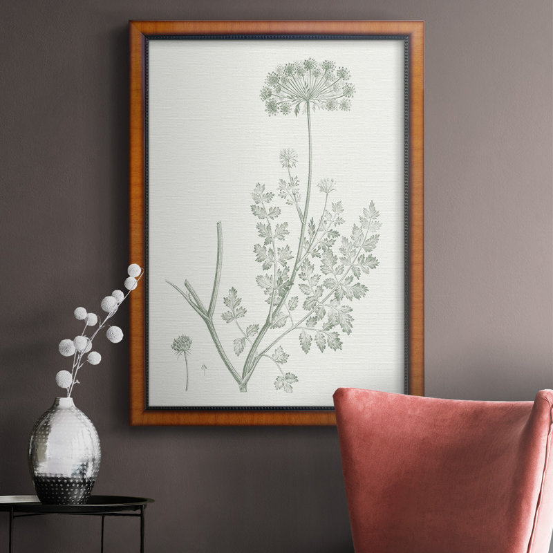 «Botanical Study In Sage V», toile encadrée de qualité supérieure - prête à être accrochée, H 20 po x l 16 po